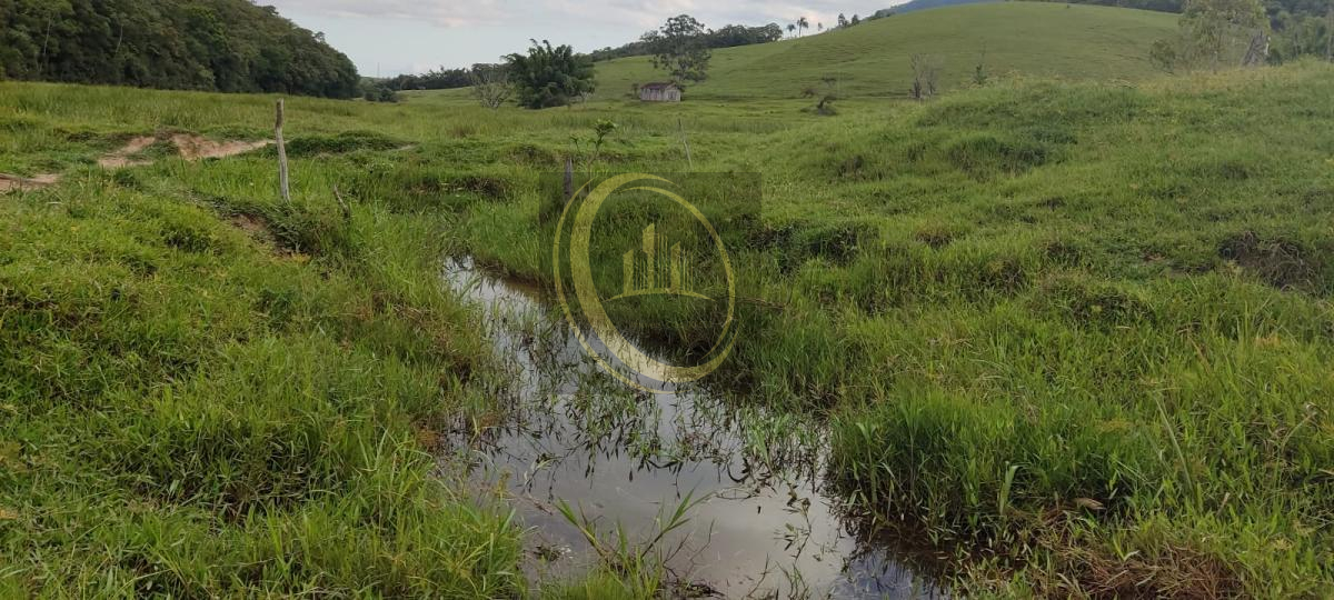 - Terreno 49.8 hectares para Fazenda