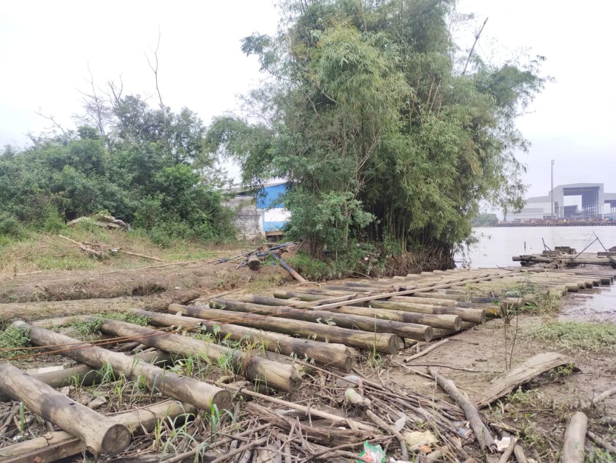 Terreno à venda - Foto 4